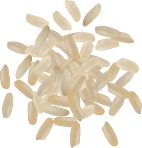 Tasteofpaellaarroz2 1 Tasteofpaellaarroz2 1